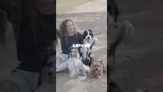 ​Is Your Dog Listening or Just Confused? 🐶🧠