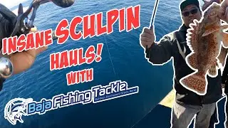 INSANE SCULPIN HAUL! SALT EATER FISHING | Pier Point Landing | WET THAT LINE