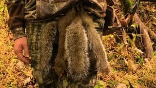 Fall Squirrel hunting 2016