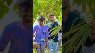 SR Team Weekend Kallu Dawath | Shree Prabha | Rishi Stylish | Sonu Jinnu | Gully poris #shreeprabha