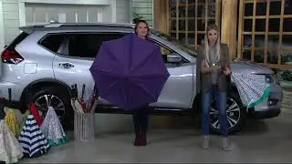 Revers-A-Brella Double Layer Inverted Automatic Open Umbrella w/ Lig on QVC