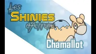 CHAMALLOT - Les Shinies (ASMR) d'Achrome