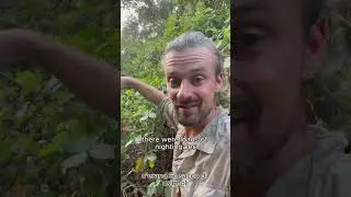 How I record sounds of nature, and whatever else...