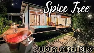 MUNNAR //The luxury milk copper bliss ✨🪞//Spice tree resort 