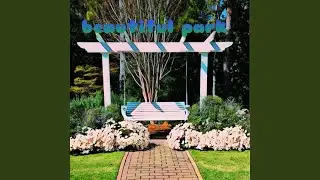 Beautiful Park