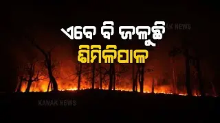 Again Similipal Forest Catches Fire