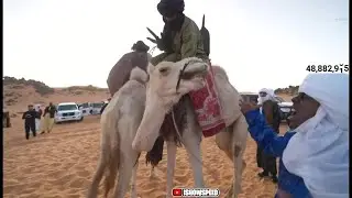 iShowSpeed Dances With A Camel In The Sahara Desert 🐪🕺