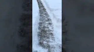 ❄️ Более 50 см снега #шорты #снег #зима