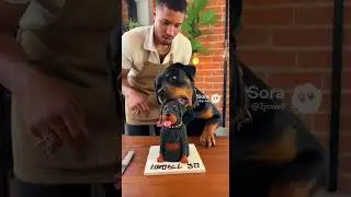 A Dog Meets His Look Alike Cake for the First Time  #dogcake  #pets  #dogshorts #cute #funny