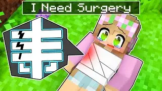 I Need SURGERY in Minecraft | Little Kelly