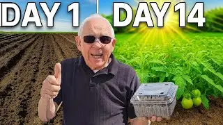 Watch How I Make The Perfect Growing Soil in Minutes!