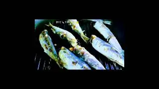 Grilled Sardines Fish From Greek Sea #Music#Steven Solveig