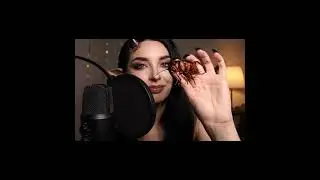 Demon Girl ASMR 👹🖤 | Tapping a Giant Bug for Sleep