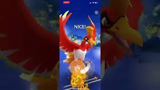Blast the Master League again with NECROZMA, HO-OH, DRAGONITE | Daily PvP 201224 | Pok&eacute;mon GO GBL