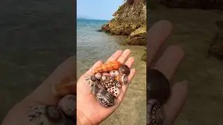 Recommended ajak anak2 | ombaknya tenang | Pantai Bugel Mega Camara