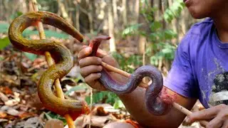 Survival skills - Catching eel fish in the hole and cooking in jungle