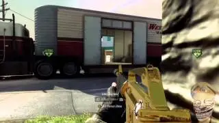 Black Ops Griefing - Im Making A Documentary!