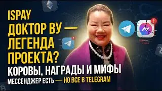 ISPAY - стержень для коров от доктора Ву. Неработающие карты и мессенджер.