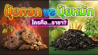 ปุ๋ยคอก