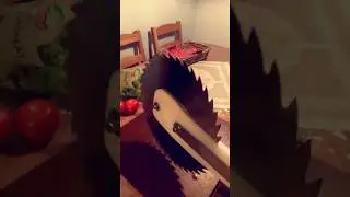Zombie Weapon vs. Apple #zombie #weapon #homemade