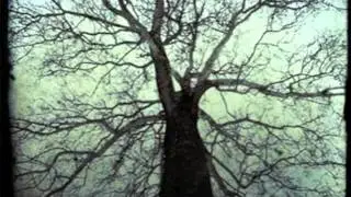 Beet Juice- Earth Prayer- Loop Station Beat-Box African Shanty Dub