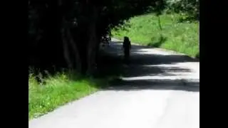 Il Mago ce l'ha fatta! 88Km e +7300mt dislivello in una settimana indimenticabile!!