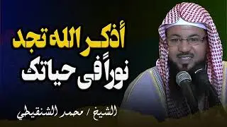 اذكر الله تجد نورا في حياتك كلها وتفوز دنيا وآخره || الشيخ محمد بن علي الشنقيطي