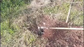 Motorlu Tırpan Çapalama Aparatı Testi