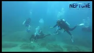 Scuba Diving in Fujairah, UAE