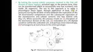 9 7 Gynogenesis Androgenesis and polyploidy