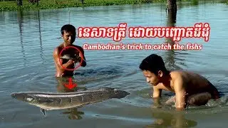Fishing, Cambodia Net Fishing, Catching Big Fish in The River, How To Catch Big Catfish   Baits