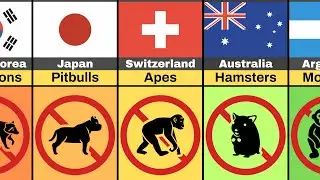 🐍 Animals You&rsquo;re NOT Allowed to Own (By Country) &mdash; Part 2