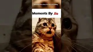 Free Fire Moments Directly By Jio