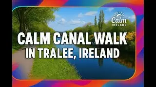 Calm Canal Walk in Tralee, Ireland | Relaxing Urban Nature Tour