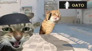 Humiliating Flash Kill (Case 2)