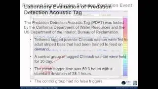 Direct Observation of Predation Using Acoustic Tags