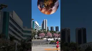 super plnet Solar System Size In Perspective | 3D Universe Size Comparison System