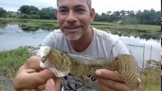 pescaria  a tarde na lagoa  ....