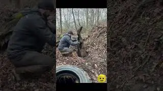 Wild Bear Encounter Forest Survival Shelter 😶