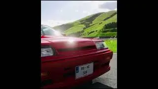 R31 SKYLINE