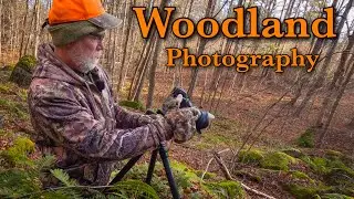 In a remote forest with the Z8