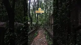 Hilltop Park.☠️👽😱#chittagong #chittagong_vlog #chittagong_video_song #bangladeshtour#touristplace🚘🚢🌎