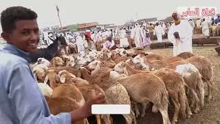 ٣ يوليو، ٢٠٢٢