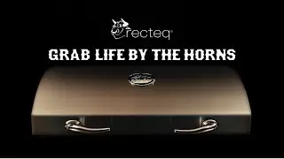 The New recteq SmokeStone