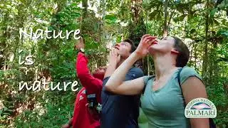 BIRDING AT A PROFESSIONAL ORNITHOLOGICAL LEVEL AT THE RESERVA NATURAL PALMARI