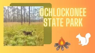 Camping at Ochlockonee State Park | Florida State Parks | Summer of Camping | Dogs | White Squirrel