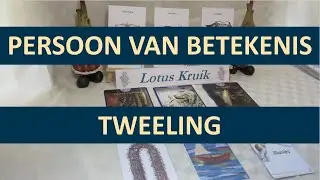 tweeling - persoon van betekenis