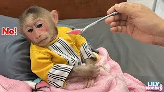 OMG! Lily refuses to take her medicine. What should I do to help her? | Lily's story