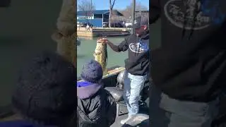 Lake Eagle mountain record 16 pound bass