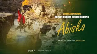 Ep.3 | Chasing Wildlife& Northern Lights in Abisko National Park | Autumn Berries & Arctic Adventure